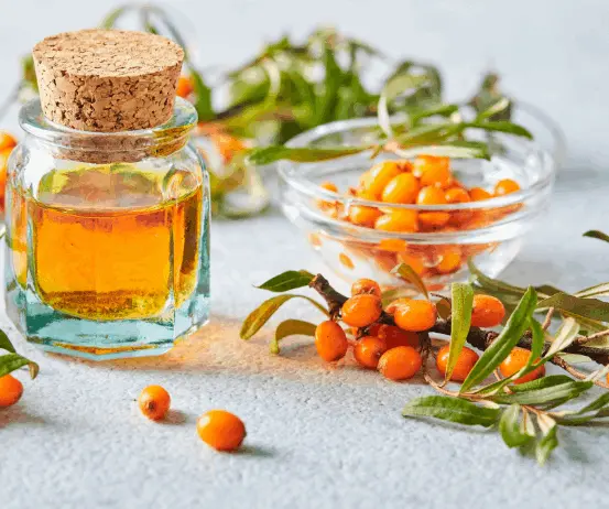 sea-buckthorn-oil-553x462